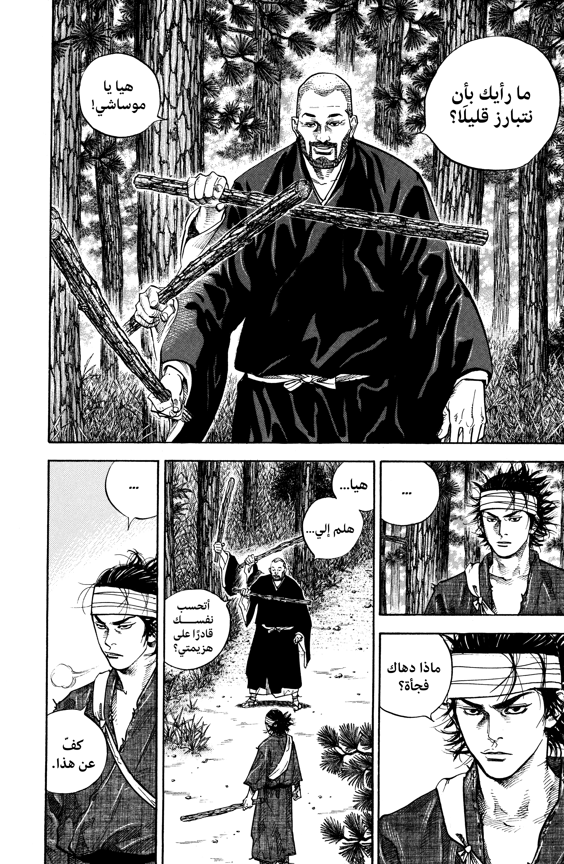 Read Vagabond Manga Online