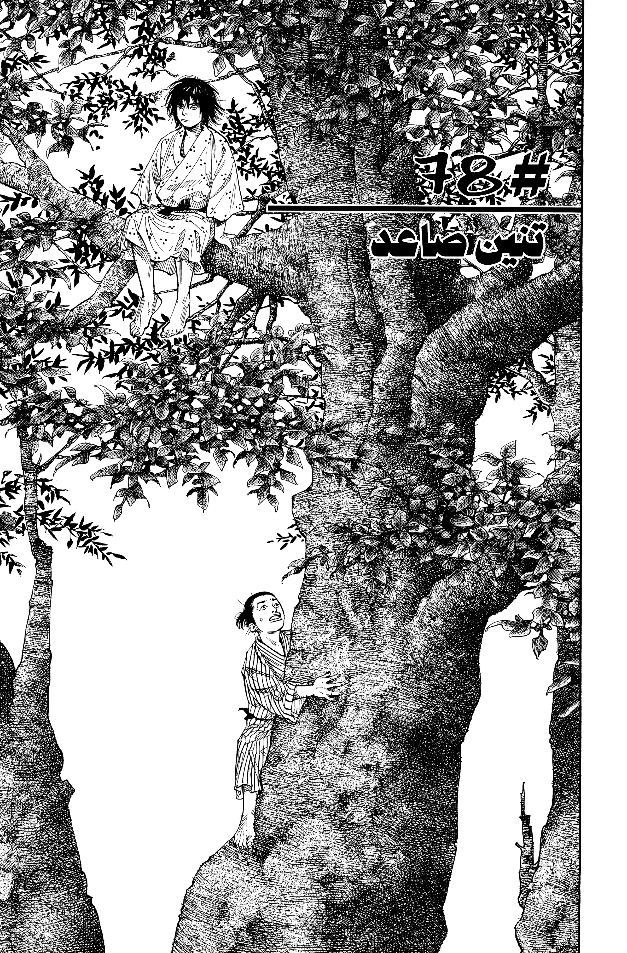 Read Vagabond Manga Online
