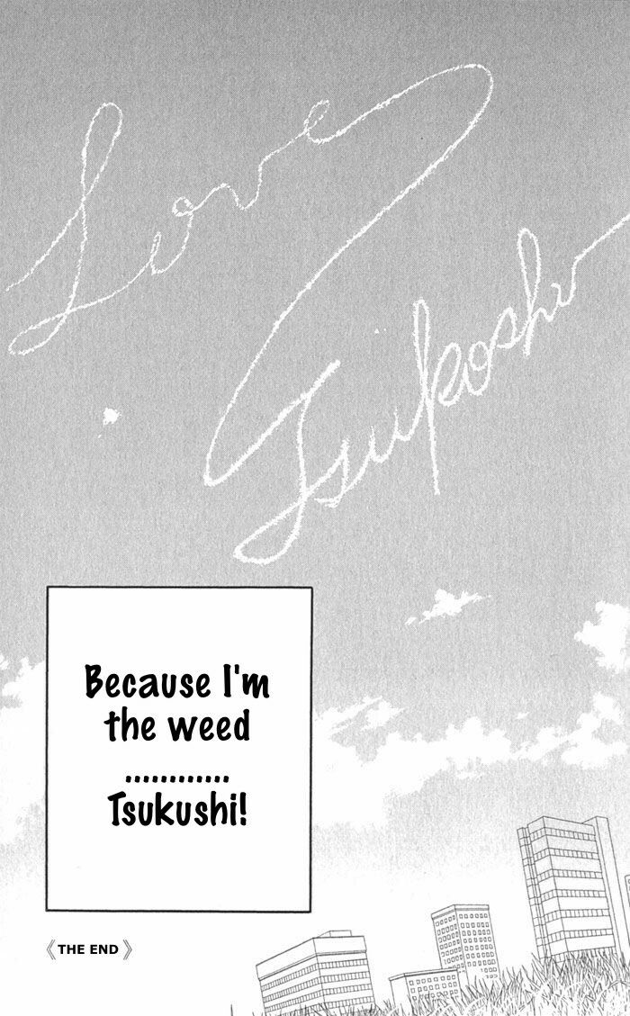 Read Boys Over Flowers Manga Online