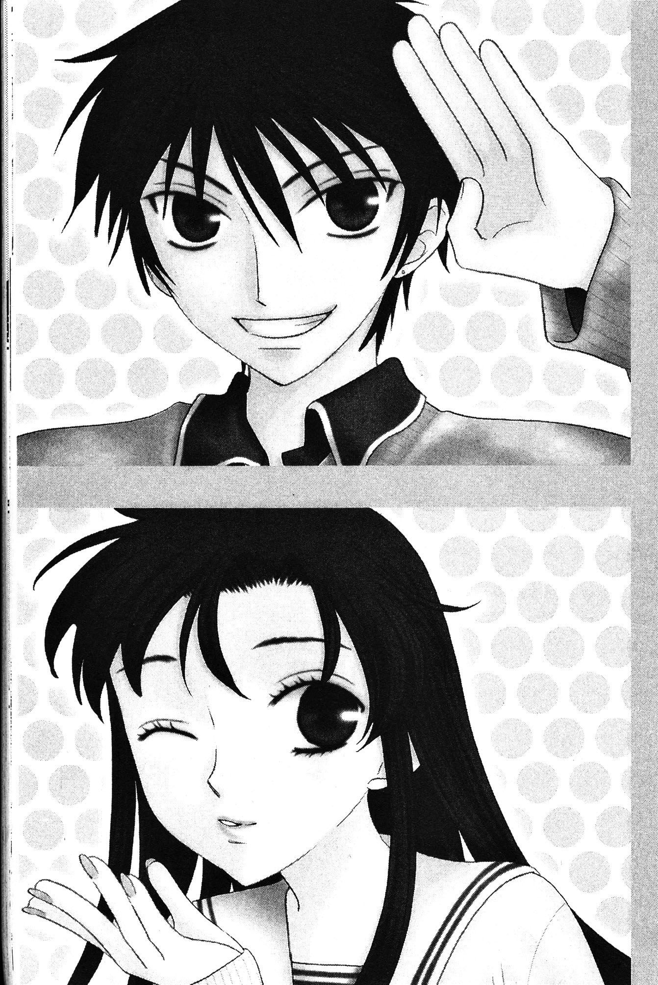 Read Fruits Basket Manga Online