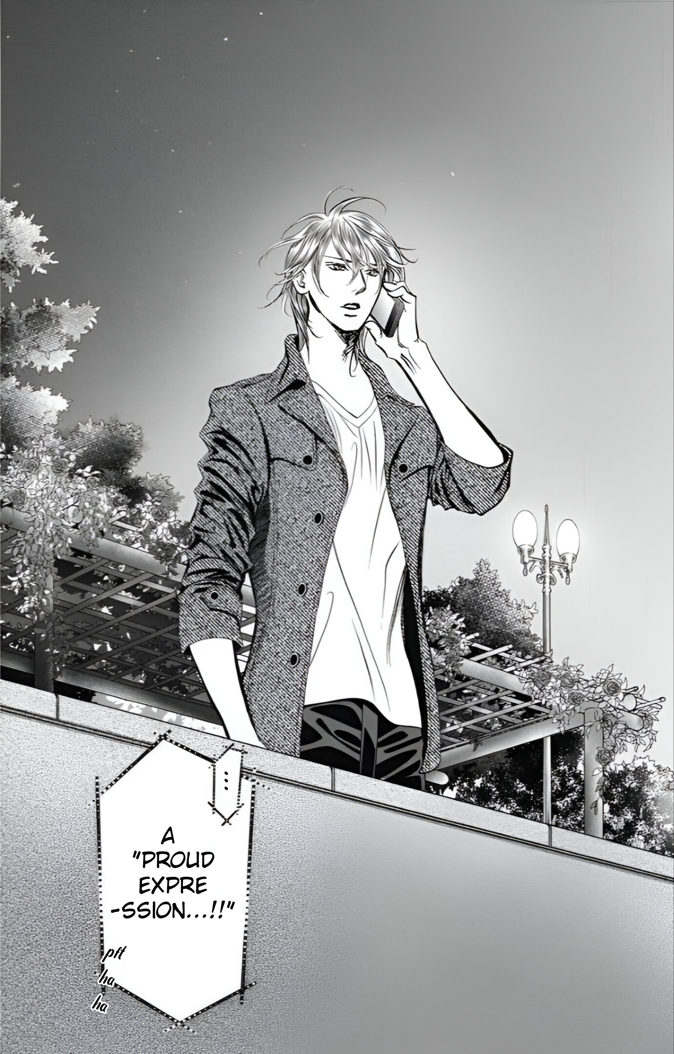 Read Skip Beat! Manga Online