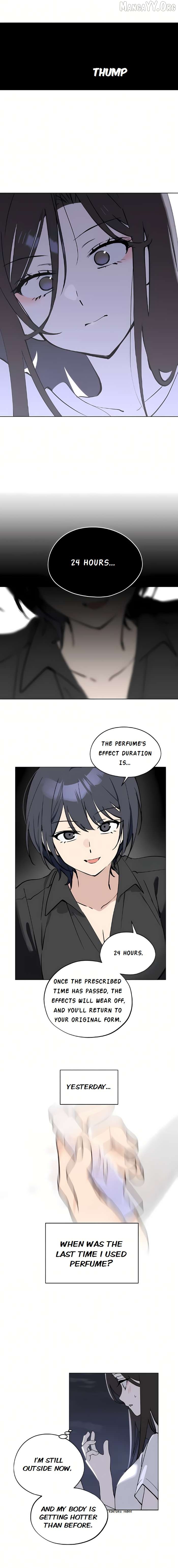 Read Today Is a Woman Day Manga Online