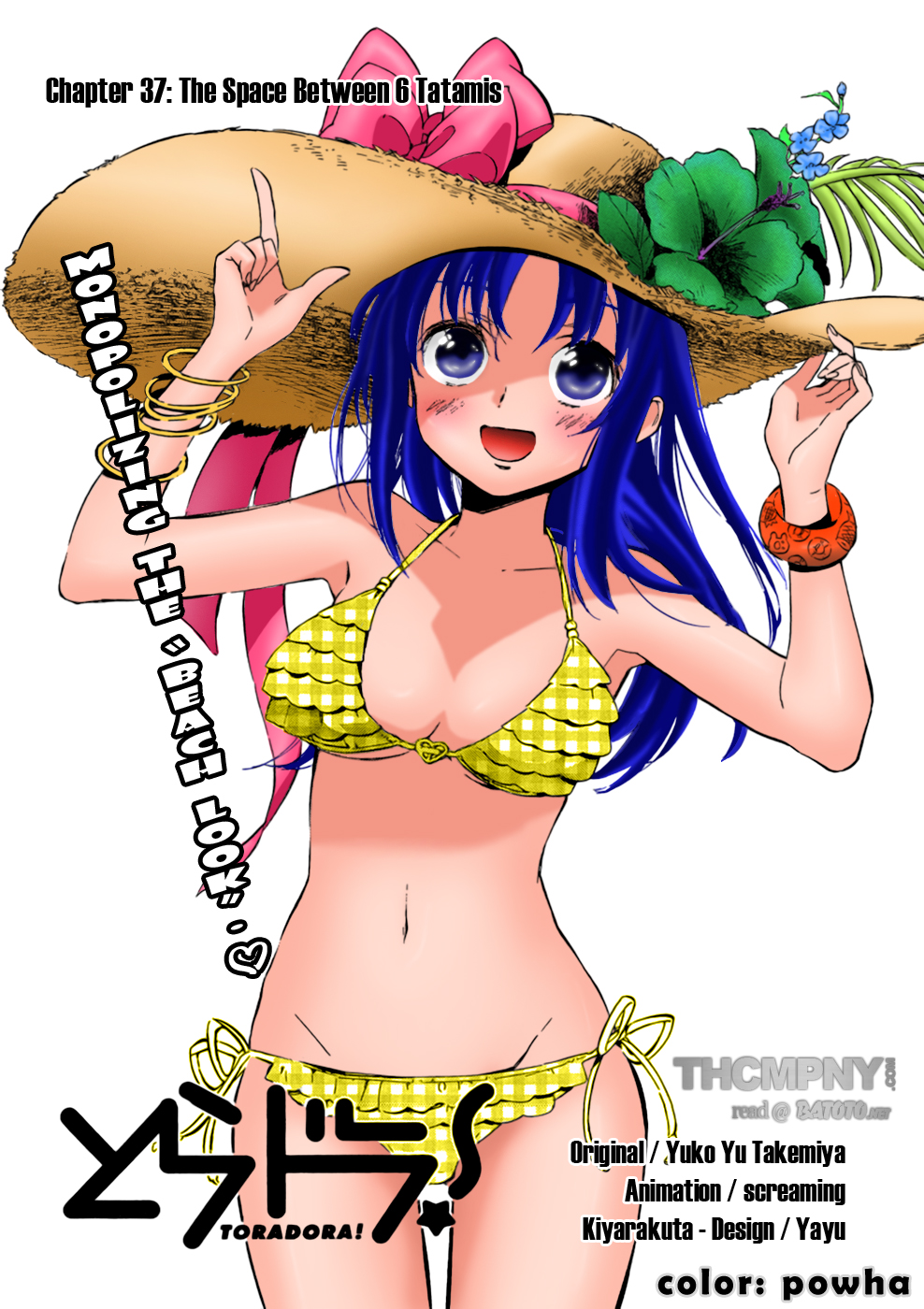 Read Toradora! Manga Online