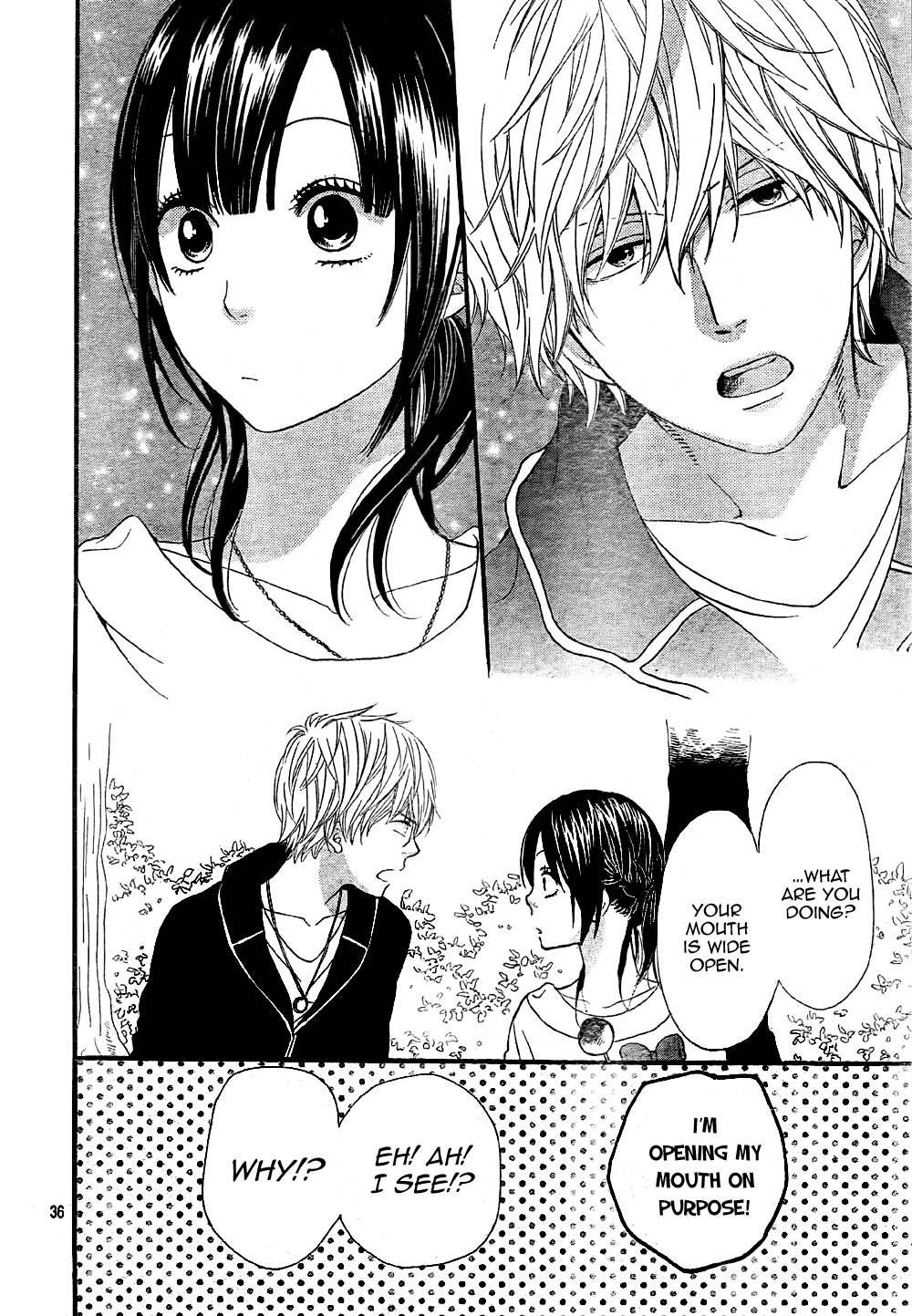 Read Wolf Girl and Black Prince Manga Online