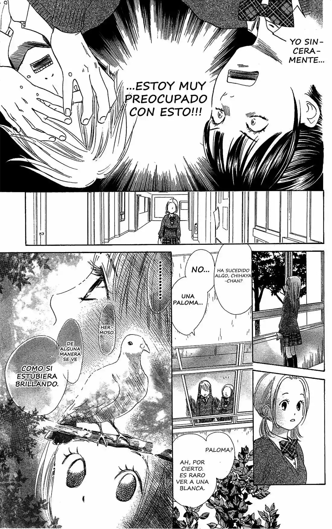 Read Chihayafuru es Manga Online