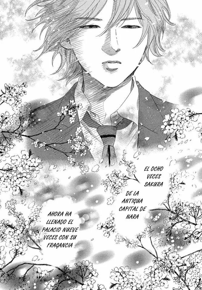 Read Chihayafuru es Manga Online