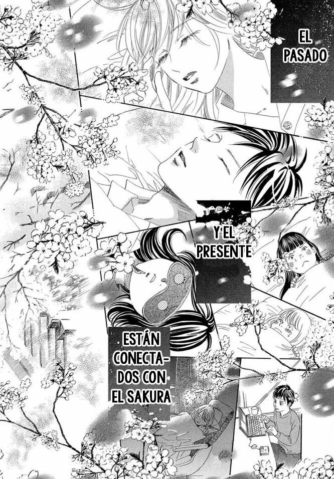 Read Chihayafuru es Manga Online