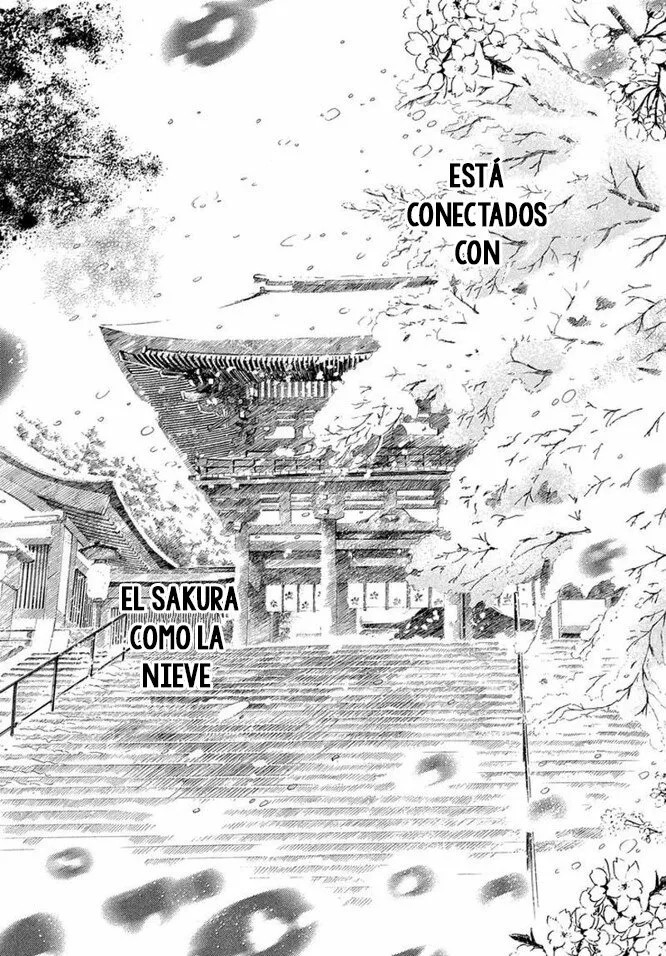Read Chihayafuru es Manga Online