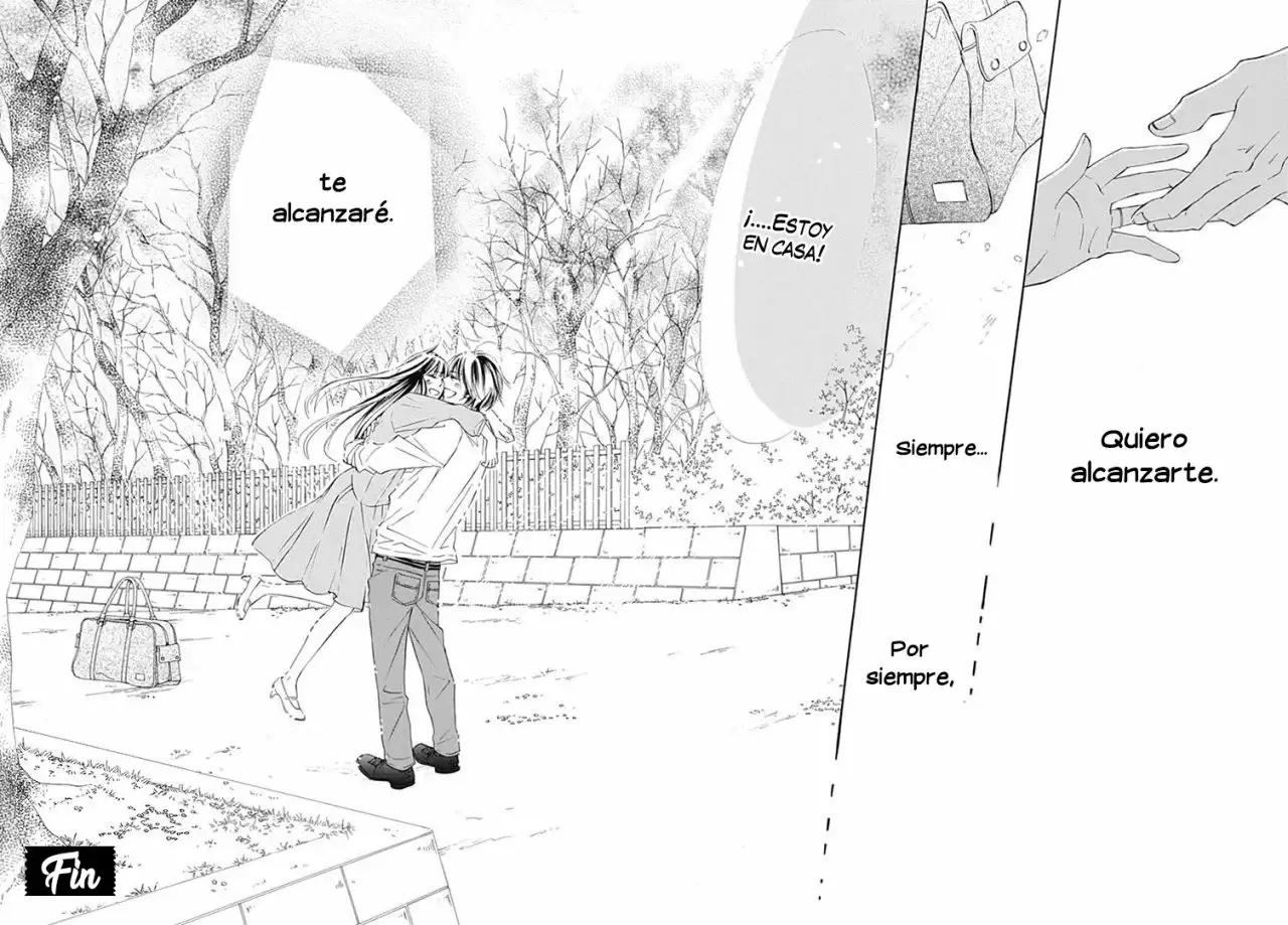Read Kimi ni Todoke Manga Online